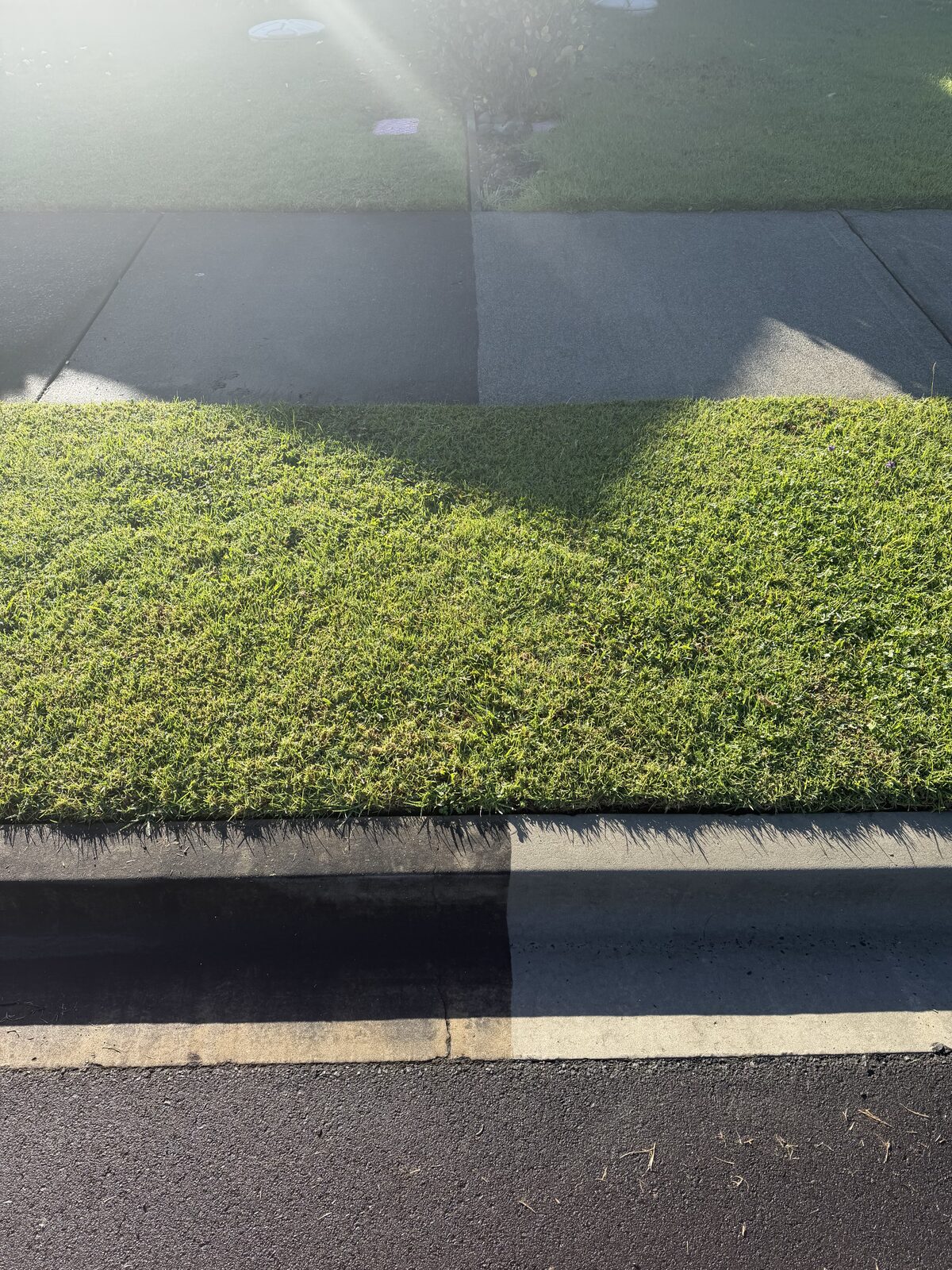 Before and after kerb and driveway edge cleaning