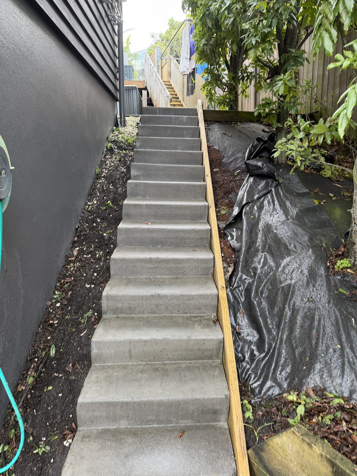 Concrete steps after cleaning, moss and grime removed
